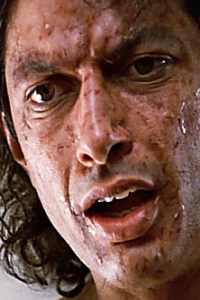 Fly, The [Jeff Goldblum]